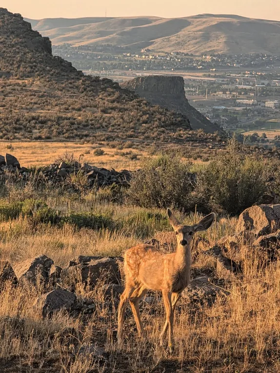 What's Happening in Golden - Friday, Aug. 22nd, 2025