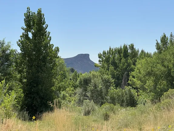 What's Happening in Golden - Sunday, Aug. 17th, 2025