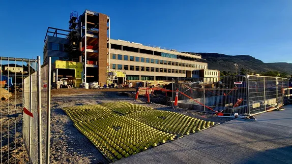 What's Happening in Golden - Wednesday, Aug. 20th, 2025