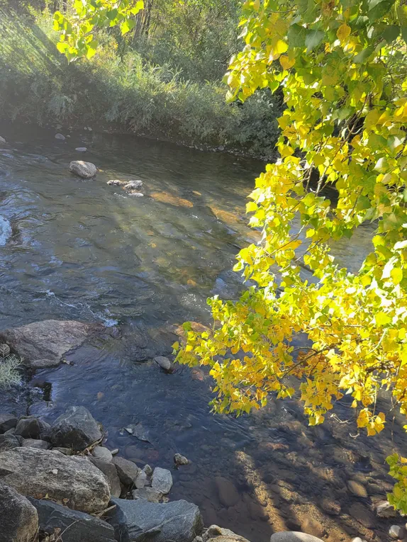 What's Happening in Golden - Tuesday, Sep. 30th, 2025