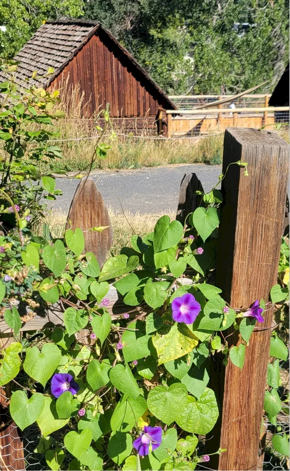 What's Happening in Golden - Wednesday, Sep. 17th, 2025