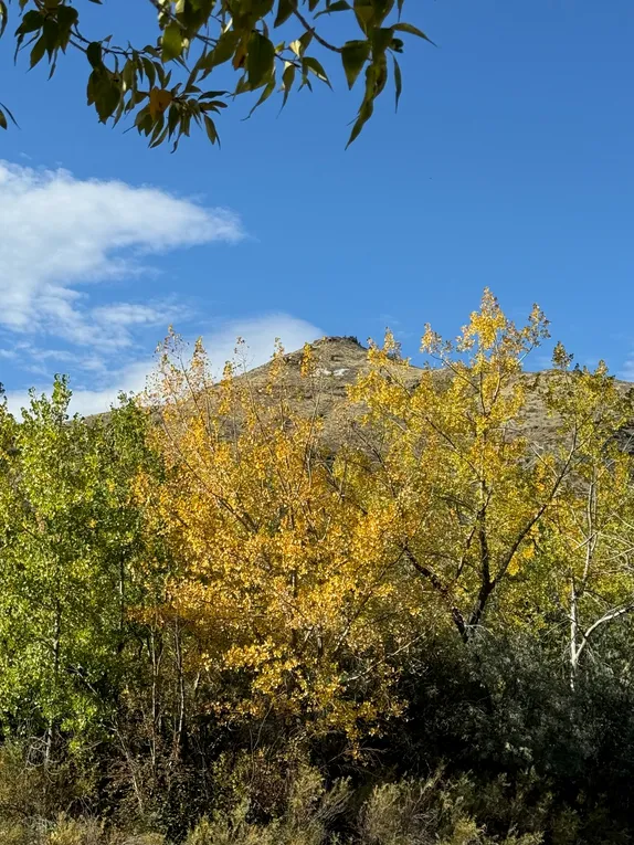 What's Happening in Golden - Friday, Oct. 17th, 2025