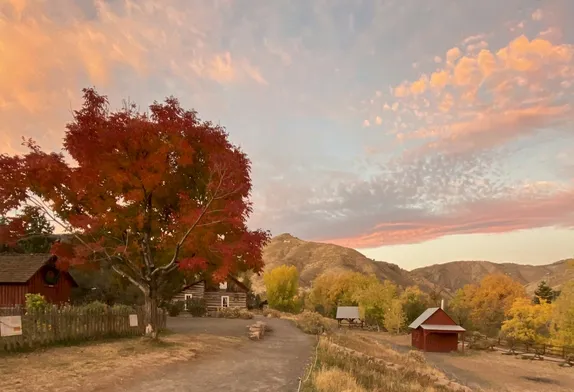 10AM-3PM Autumn Fest @ Golden History Park