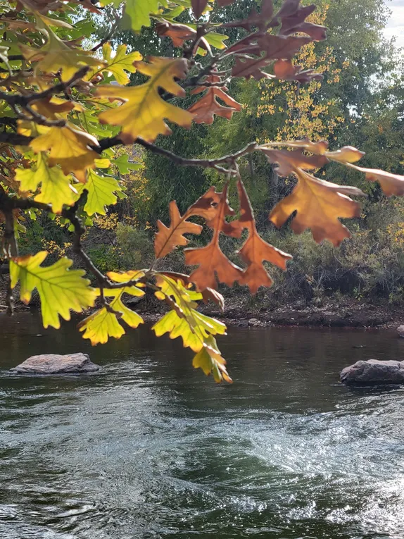 What's Happening in Golden - Saturday, Oct. 11th, 2025