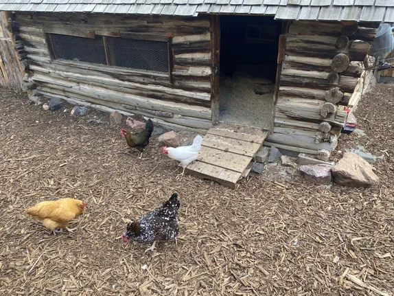 What's Happening in Golden - Sunday, Oct. 5th, 2025