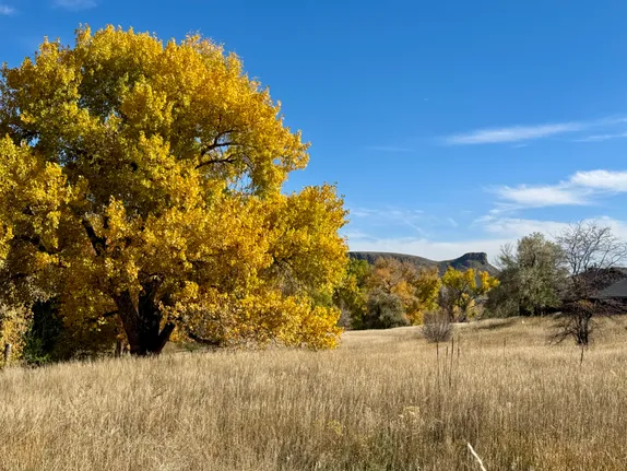 Summary of November Events