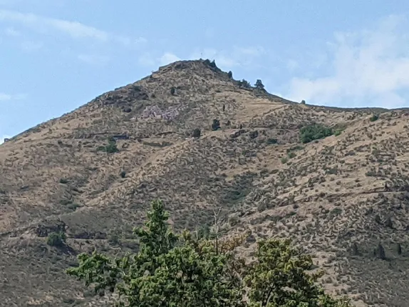 A Savage Attack And An Impressively Speedy Repair