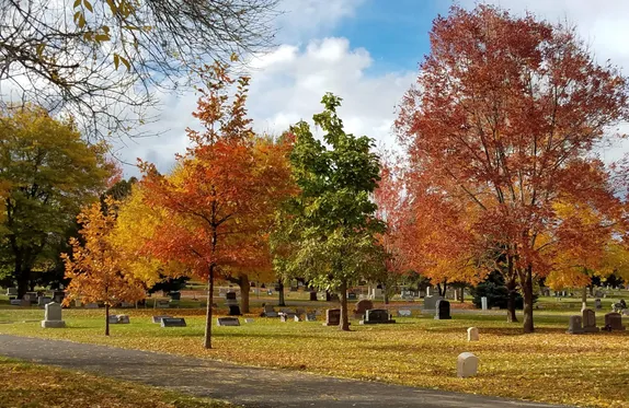 Cemetery Tours this Saturday