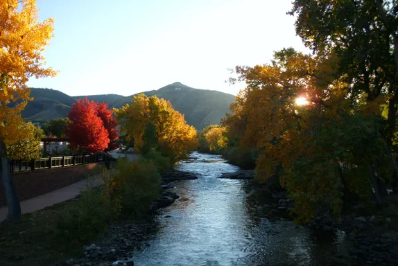 Thanksgiving Week: Good Things to Know