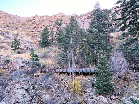 A tree named for two people: Douglas-fir – Pseudotsuga menziesii (Mirb.) Franco.