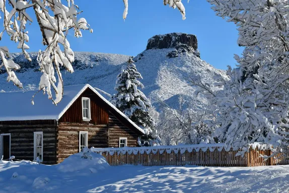 Introducing the History Park