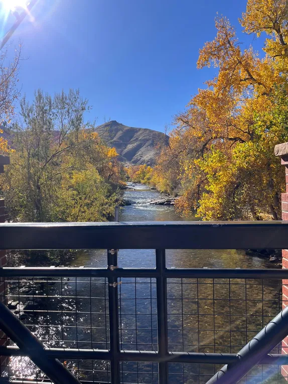 What's Happening in Golden - Sunday, Nov. 9th, 2025