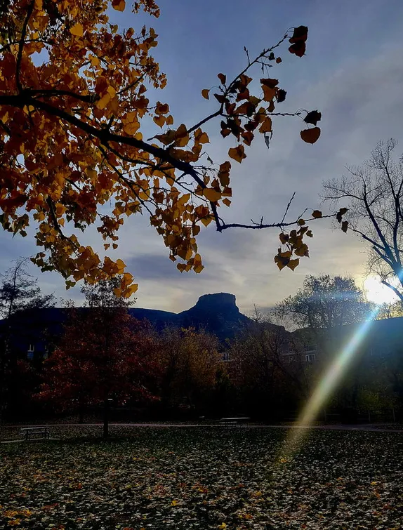 What's Happening in Golden - Wednesday, Nov. 5th, 2025