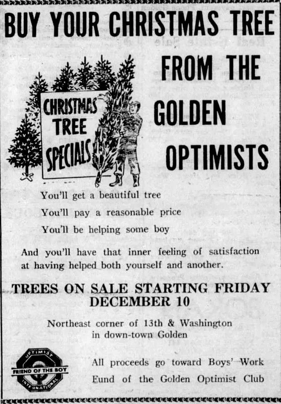 71 Years of Fresh Conifers