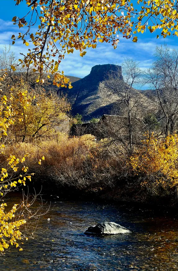 What's Happening in Golden - Wednesday, Nov. 19th, 2025