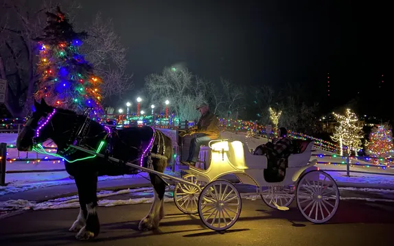 Holiday Lights Carriage Rides