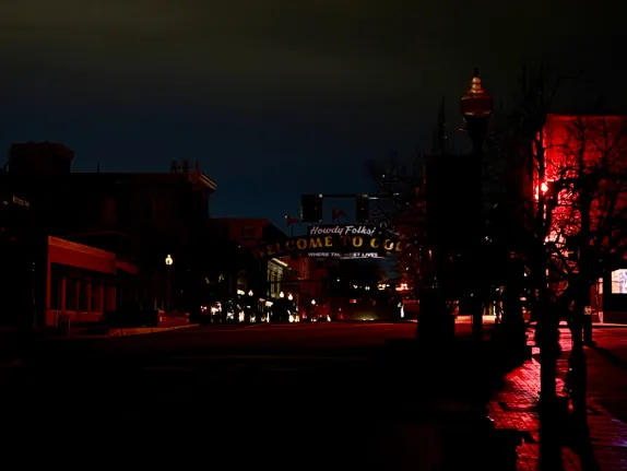 Aftermath of the Windstorm and Power Outage: Slash, Feedback, Grants