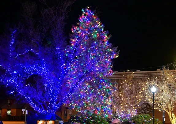 Still Gorgeous in Golden