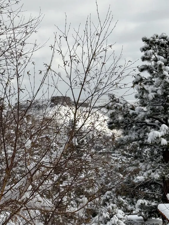 What's Happening in Golden - Saturday, Jan. 10th, 2026