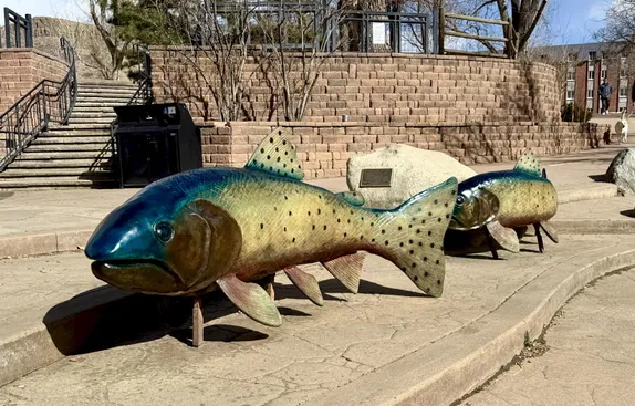 What's Happening in Golden - Wednesday, Feb. 18th, 2026