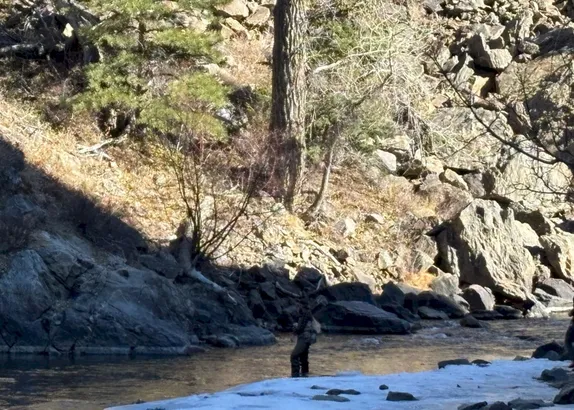 What's Happening in Golden - Sunday, Feb. 15th, 2026