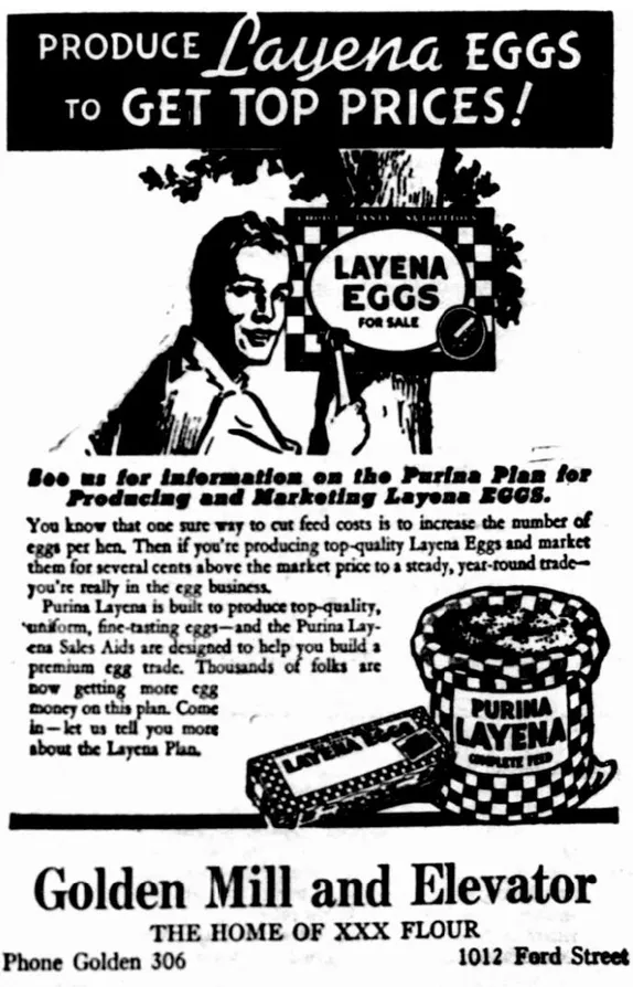 Eggs for Uncle Sam