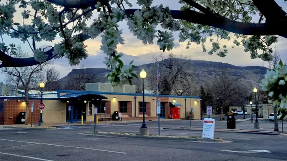 1-3PM Silver Screen Classics Movie Club 1930s-1960s @ Golden Library