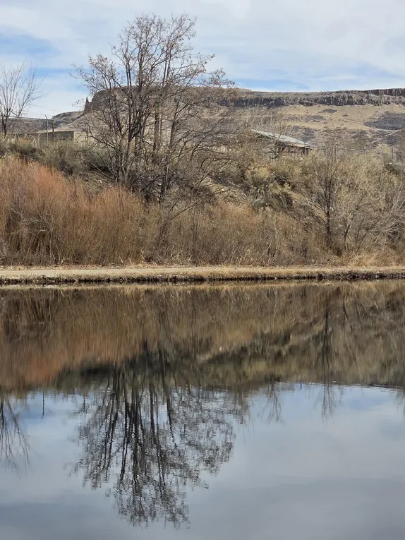 What's Happening in Golden - Thursday, Mar. 5th, 2026