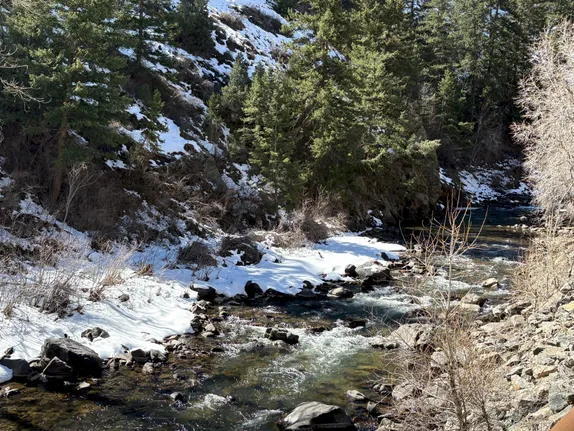 The Creek in March