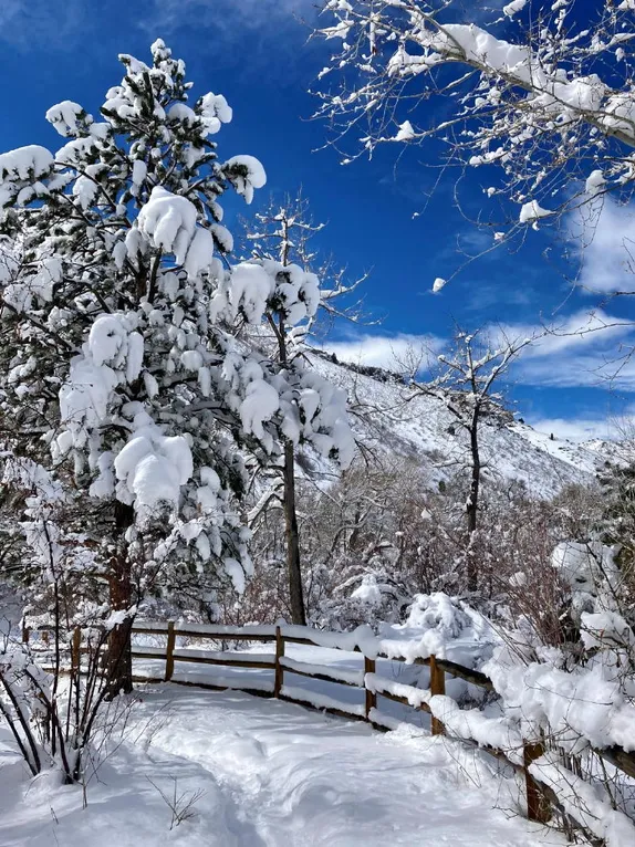 A Short-Lived Snowstorm