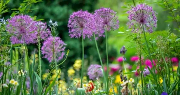 6:30-8PM Waterwise Yard Seminar: Caring for Trees in Waterwise Landscapes (Virtual)