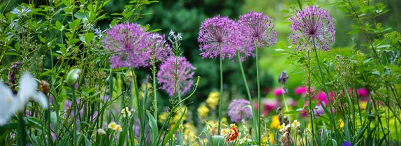 6:30-8PM Waterwise Yard Seminar (Virtual)