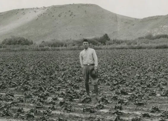 What Color Are KKK Robes This Time?