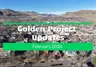 Birdseye View of Construction in Golden - February, 2026