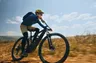 5:30PM E-bike Information Panel @ Mountain Toad Brewing