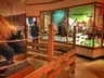 10AM-5PM Free Day @ Buffalo Bill Museum